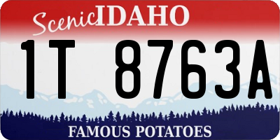 ID license plate 1T8763A