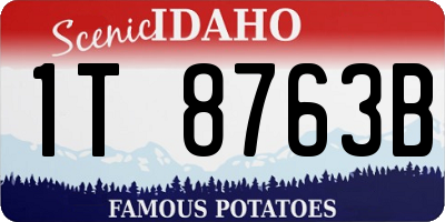 ID license plate 1T8763B
