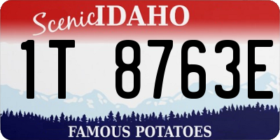 ID license plate 1T8763E