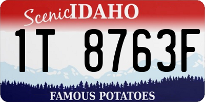 ID license plate 1T8763F