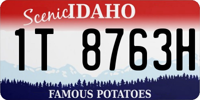 ID license plate 1T8763H