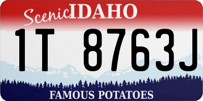 ID license plate 1T8763J