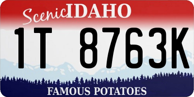 ID license plate 1T8763K