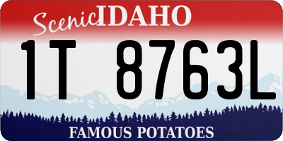 ID license plate 1T8763L