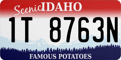 ID license plate 1T8763N