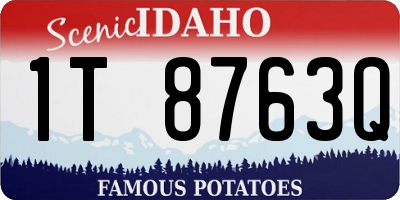 ID license plate 1T8763Q