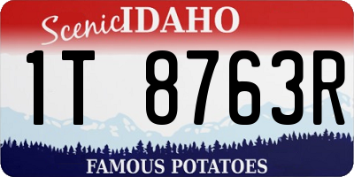 ID license plate 1T8763R