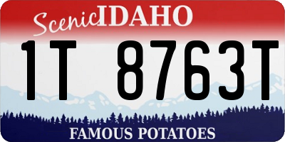 ID license plate 1T8763T
