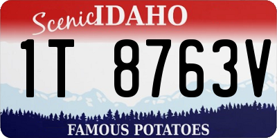 ID license plate 1T8763V
