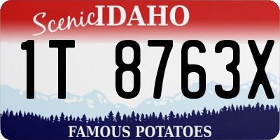 ID license plate 1T8763X