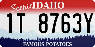 ID license plate 1T8763Y