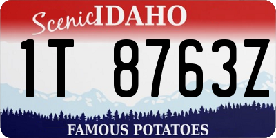 ID license plate 1T8763Z