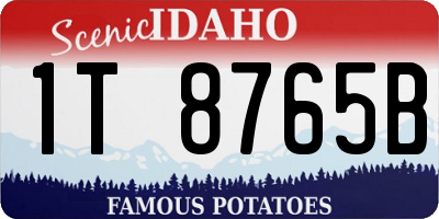 ID license plate 1T8765B
