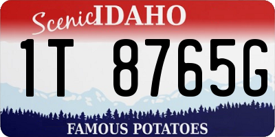 ID license plate 1T8765G