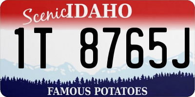 ID license plate 1T8765J