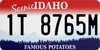 ID license plate 1T8765M