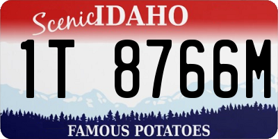 ID license plate 1T8766M