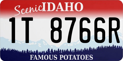 ID license plate 1T8766R
