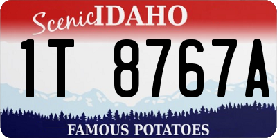 ID license plate 1T8767A