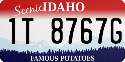 ID license plate 1T8767G