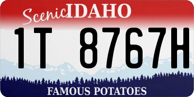 ID license plate 1T8767H