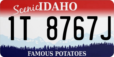 ID license plate 1T8767J