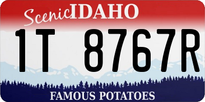 ID license plate 1T8767R
