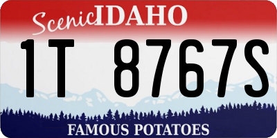 ID license plate 1T8767S