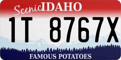 ID license plate 1T8767X