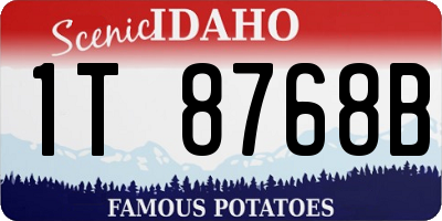 ID license plate 1T8768B