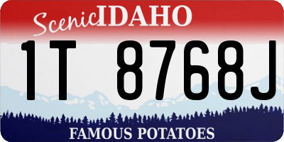 ID license plate 1T8768J
