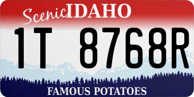 ID license plate 1T8768R