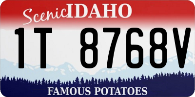 ID license plate 1T8768V