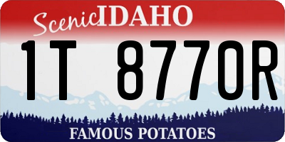 ID license plate 1T8770R