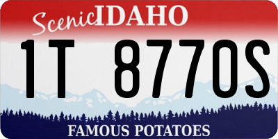 ID license plate 1T8770S