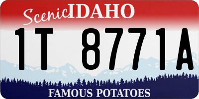 ID license plate 1T8771A
