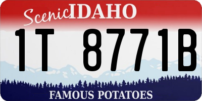 ID license plate 1T8771B