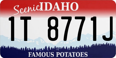ID license plate 1T8771J