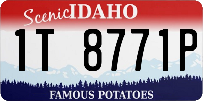 ID license plate 1T8771P