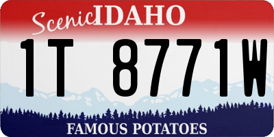 ID license plate 1T8771W