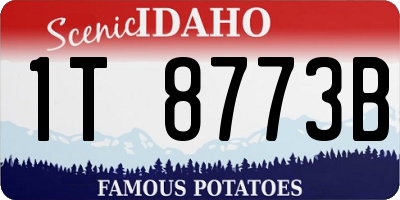 ID license plate 1T8773B