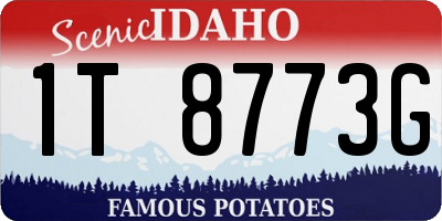 ID license plate 1T8773G