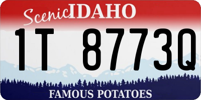 ID license plate 1T8773Q