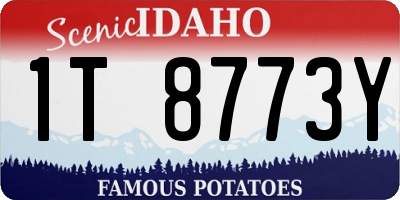 ID license plate 1T8773Y