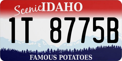 ID license plate 1T8775B