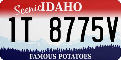 ID license plate 1T8775V