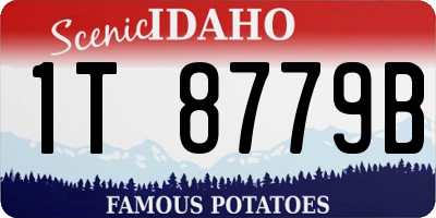 ID license plate 1T8779B