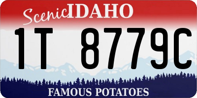 ID license plate 1T8779C