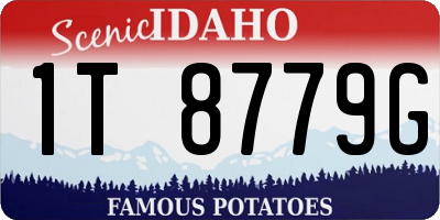ID license plate 1T8779G