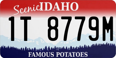 ID license plate 1T8779M